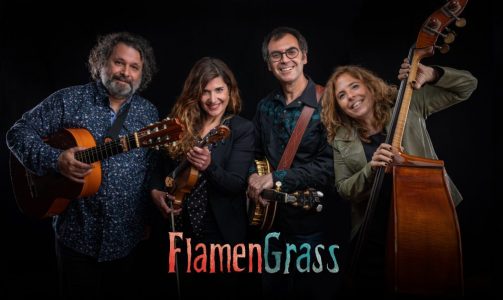 Flamengrass