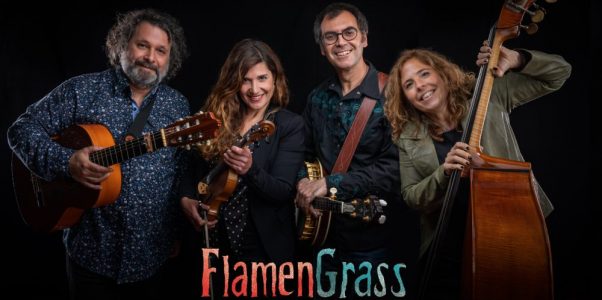 Flamengrass